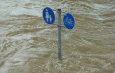 Banjir Jakarta Rendam 20 RT dengan Ketinggian 1,2 Meter, BPBD DKI Imbau Warga Tetap Waspada