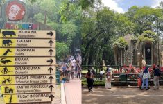 Jadwal Wisata Malam Ragunan 2025