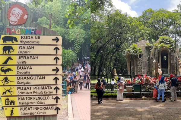 Jadwal Wisata Malam Ragunan 2025
