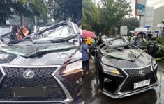 Lexus Tertimpa Pohon Tumbang di Pondok Indah, Pengemudi Tewas di Tempat