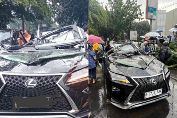Lexus Tertimpa Pohon Tumbang di Pondok Indah, Pengemudi Tewas di Tempat 2 Lexus Tertimpa Pohon Tumbang di Pondok Indah, Pengemudi Tewas di Tempat