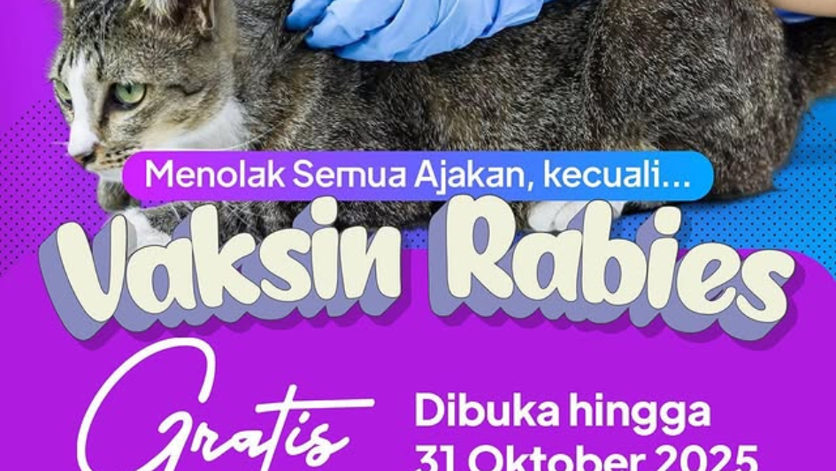 haijakarta 11