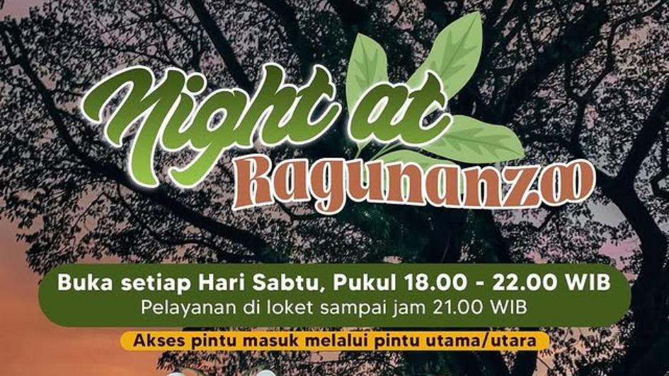 haijakarta 3