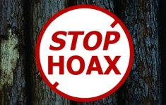 7 Cara Terhindar dari Penipuan Lowongan Kerja Online Menurut Kemnaker RI, Jangan Gampang Tergiur!