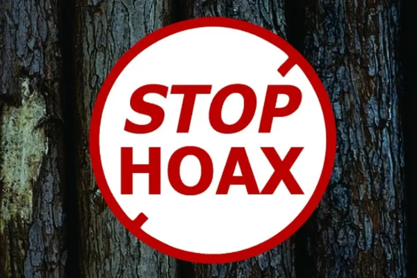 7 Cara Terhindar dari Penipuan Lowongan Kerja Online Menurut Kemnaker RI, Jangan Gampang Tergiur!