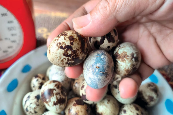 Alasan Presiden Prabowo Minta Menu MBG Jelang Nataru Diubah, Daging Sapi dan Telur Puyuh