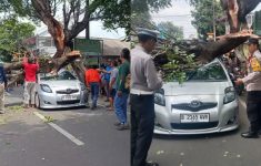 Kronologi Pohon Tumbang di Ciputat Timur Timpa Mobil, 2 Orang Alami Luka-Luka