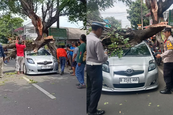 Kronologi Pohon Tumbang di Ciputat Timur Timpa Mobil, 2 Orang Alami Luka-Luka