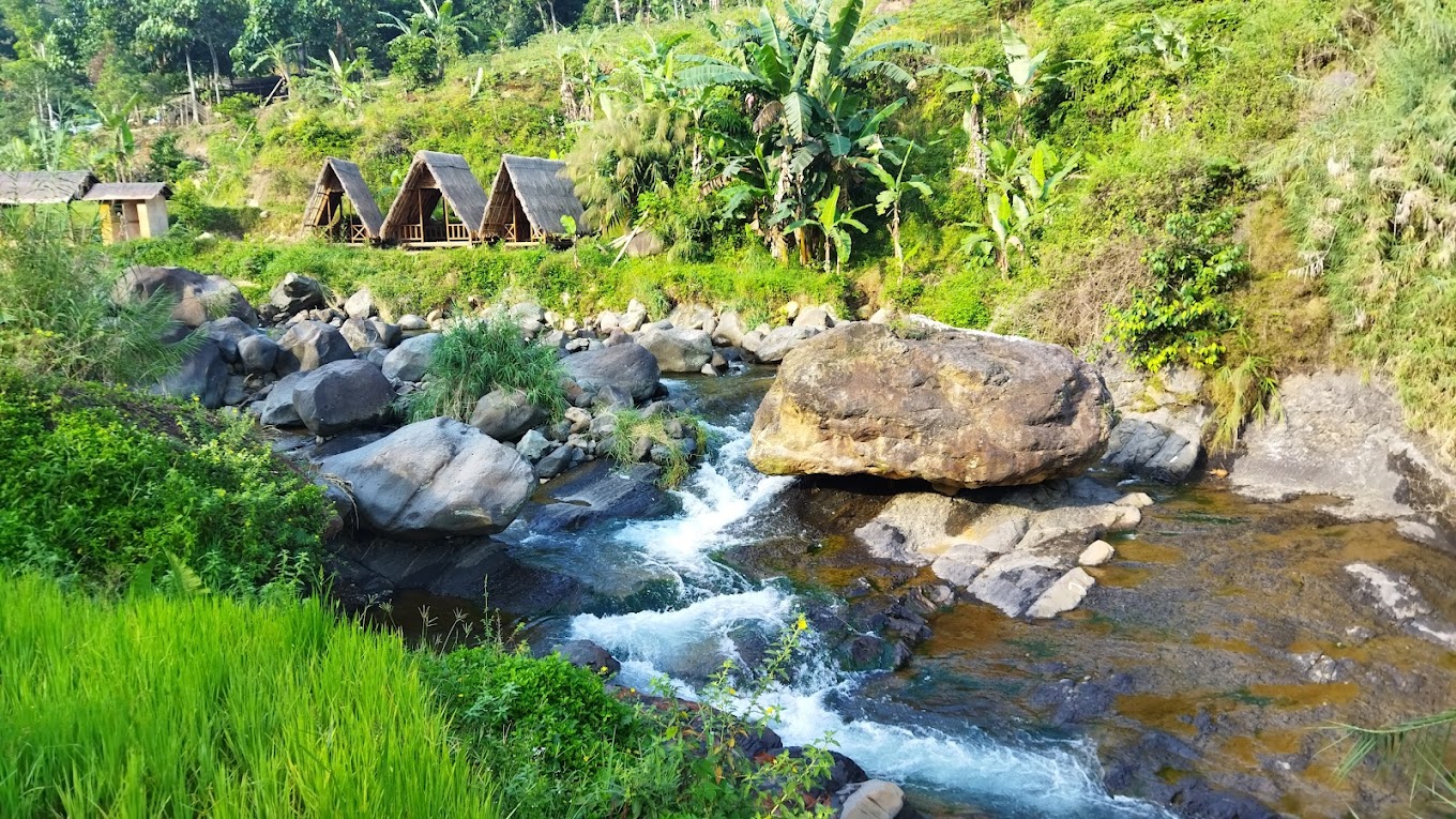 7 Destinasi Wisata Sentul Terbaik: Dekat dari Jakarta dan Cocok untuk Healing Sepanjang Tahun 4 Hutan Hujan Sentul (Source: Google Maps)