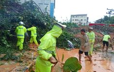 Ilustrasi penanganan bencana di Sumut setelah banjir. (Source: Berita Nasional)