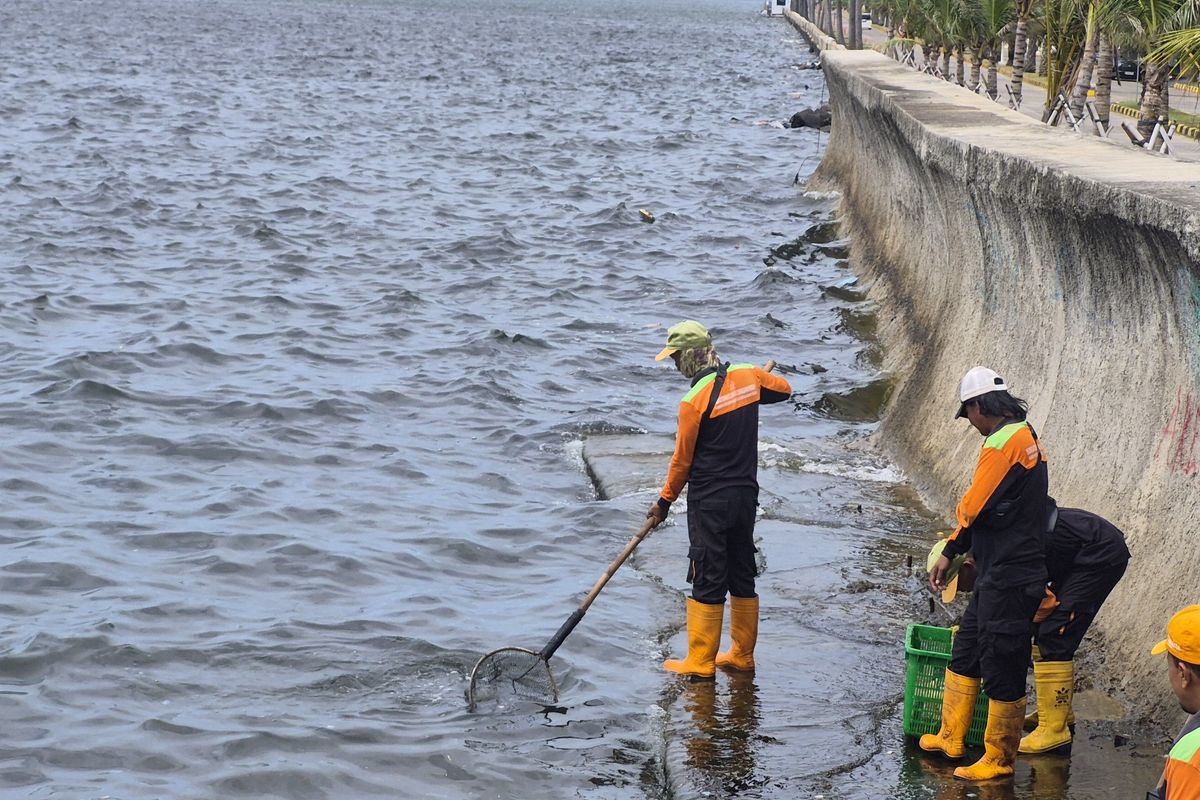 Ilustrasi permukaan air laut di Pantai Mutiara, Penjaringan, Jakarta Utara. (Source: Kompas)