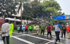 Pohon tumbang di depan Kementerian Keuangan, Jakarta Pusat (Source: TVRI News)