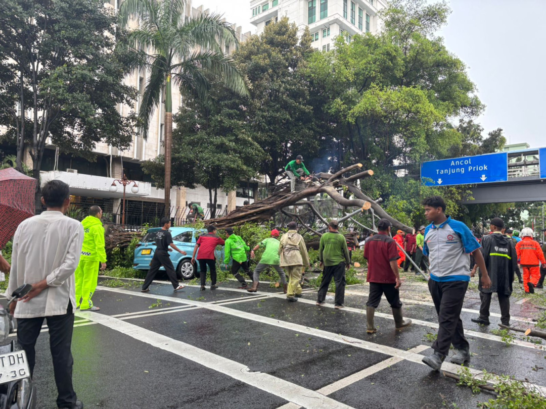 Pohon tumbang di depan Kementerian Keuangan, Jakarta Pusat (Source: TVRI News)