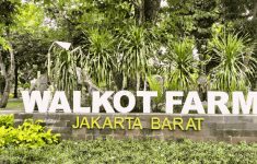 Walkot Farm Jakarta Barat. (Source: Detik)