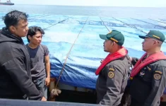 Antisipasi penyakit di masa Nataru, Badan Karantina intensifkan pengawasan pelabuhan. (Source: Tribun News)