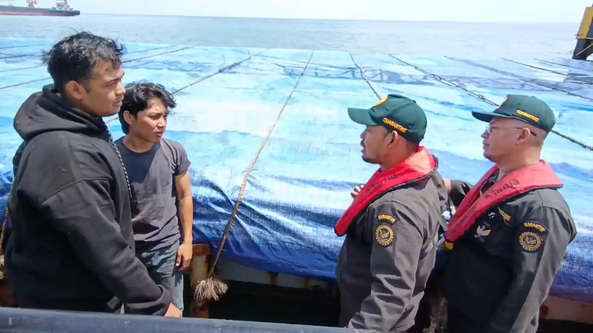 Antisipasi penyakit di masa Nataru, Badan Karantina intensifkan pengawasan pelabuhan. (Source: Tribun News)