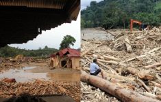 Awal Mula Ditemukan Ribuan Kayu Gelondongan Terseret Banjir Sumatera, Dugaan Praktik Ilegal