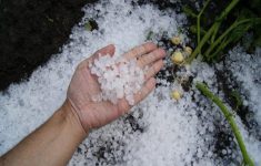 Fenomena Hujan Es di Gunung Putri Bogor, Pohon Tumbang Timpa Rumah Warga dan Gerai Makanan