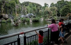 Jadwal Operasional Taman Margasatwa Ragunan Saat Libur Nataru 2025/2026, Tetap Buka hingga Awal Januari, Cek!