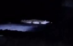 Klarifikasi Pihak Pengelola Terkait Buaya di Pantai Watu Leter Malang, Ini Katanya