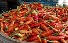 Harga cabai rawit merah di Jakarta meroket