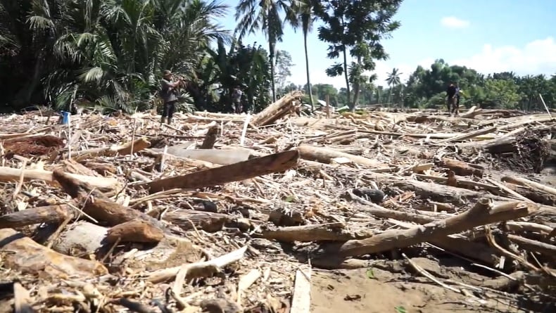 Ilustrasi batang kayu glondongan saat banjir di Aceh. (Source: iNews)