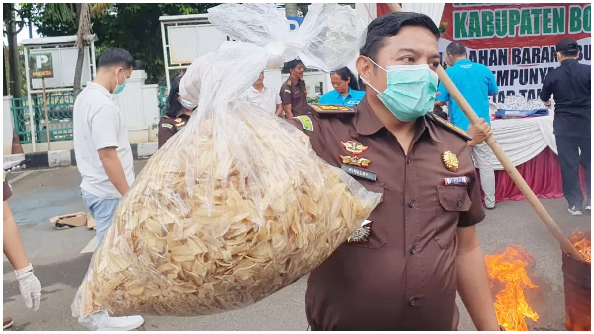 Kejari Bogor Bakar 5 Kg Keripik Pisang Disemprot Zat Narkoba. (Source: Radar Bogor)