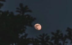 Ketahui Fenomena Fase Perigee: Ancaman Rob hingga Pesona Bulan Super Terang