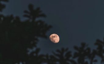 Ketahui Fenomena Fase Perigee: Ancaman Rob hingga Pesona Bulan Super Terang