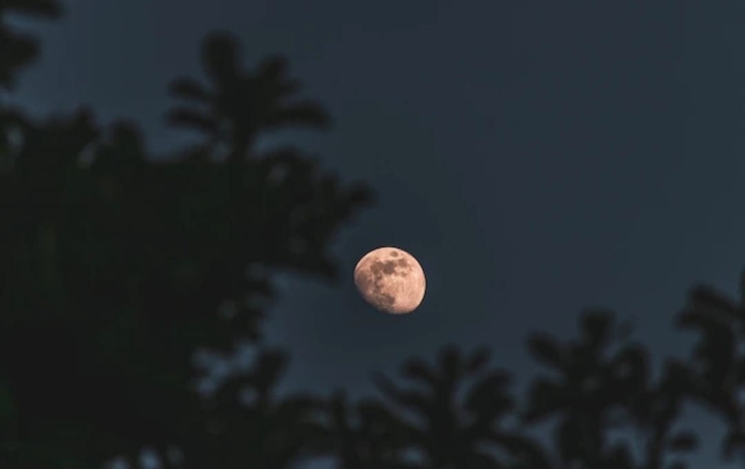 Ketahui Fenomena Fase Perigee: Ancaman Rob hingga Pesona Bulan Super Terang