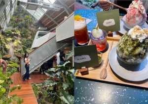 Rekomendari 5 Tempat Matcha Terbaik di Jakarta, Pecinta Matcha Wajib Coba! 6 Rekomendari 5 Tempat Matcha Terbaik di Jakarta, Pecinta Matcha Wajib Coba!