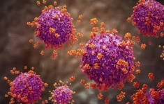 “Super Flu” H3N2 Subclade K Terdeteksi di Indonesia, Kemenkes Pastikan Vaksin Masih Efektif.