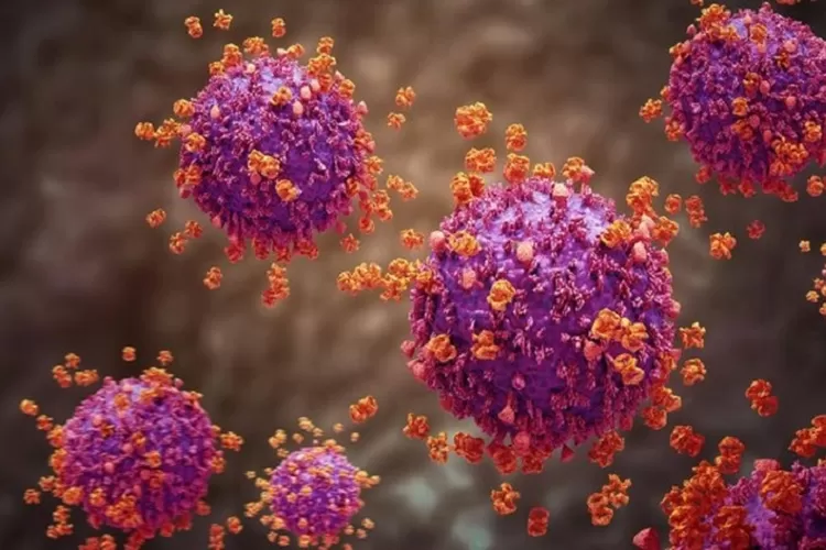 “Super Flu” H3N2 Subclade K Terdeteksi di Indonesia, Kemenkes Pastikan Vaksin Masih Efektif.