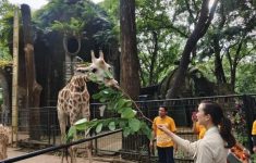 Taman Margasatwa Ragunan, Jakarta Selatan. (Source: Jakartamu)