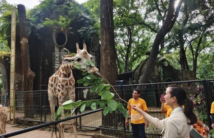 Taman Margasatwa Ragunan, Jakarta Selatan. (Source: Jakartamu)