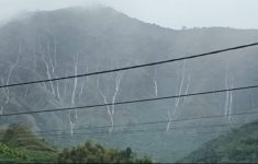 Viral Air Terjun Dadakan Sembalun, Badan Geologi Tegaskan Fenomena Alam yang Wajar. (Source: Tangkapan Layar video)