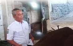 Mengaku Tak Sanggup Lagi, Kades Taji Magetan Mengundurkan Diri Dari Jabatan: Tunggu Keputusan Bupati