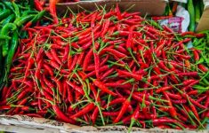 Kenaikan Harga Cabai Rawit Merah Ancam Stabilitas Pangan Jelang Akhir Tahun