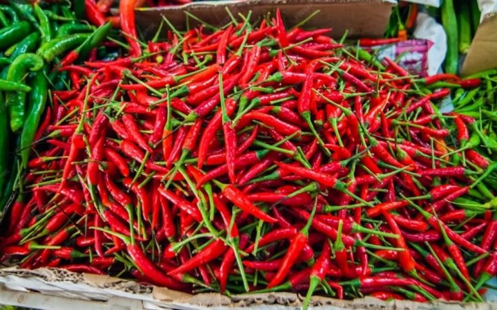 Kenaikan Harga Cabai Rawit Merah Ancam Stabilitas Pangan Jelang Akhir Tahun