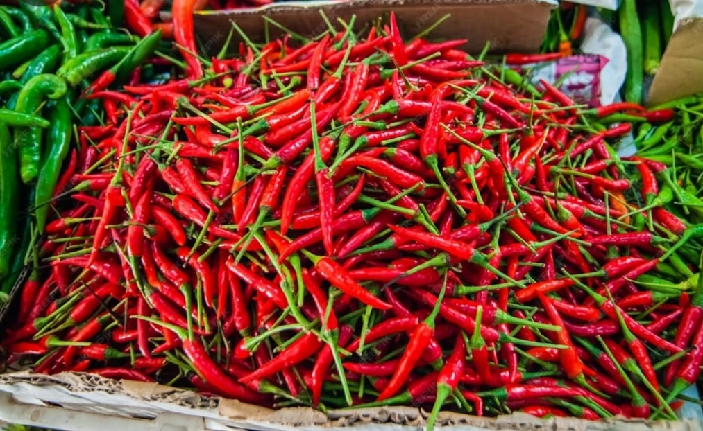 Kenaikan Harga Cabai Rawit Merah Ancam Stabilitas Pangan Jelang Akhir Tahun