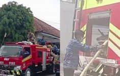 Viral! Petugas Damkar Tinggalkan Pelantikan PPPK Demi Padamkan Kebakaran, Masih Pakai Seragam Korpri