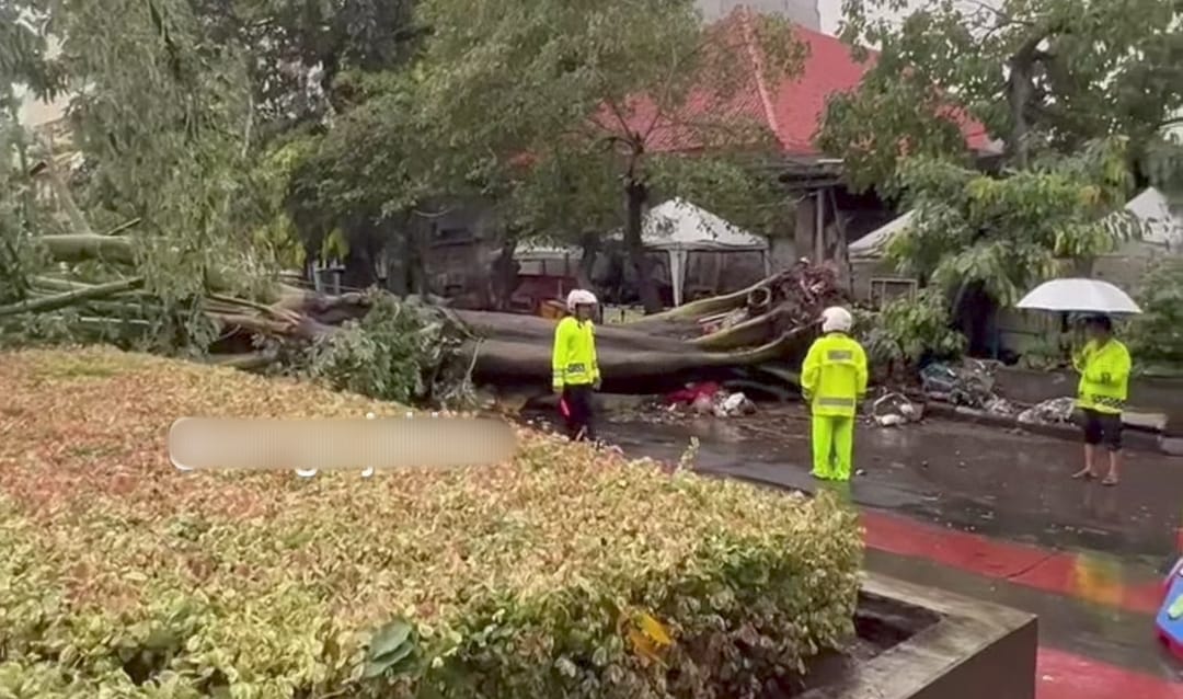 Pohon Tumbang di Kawasan Kota Tua Timpa Area Depan Polsek Tamansari, Petugas Lakukan Evakuasi