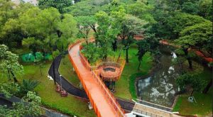 5 Rekomendasi Taman Gratis di Jakarta Cocok Untuk Piknik di Akhir Pekan