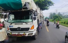 Bocah Berseragam SD Tewas Usai Motor Tabrak Truk Fuso di Banyuwangi, 2 Orang Luka-luka