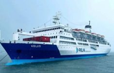 Lowongan Kerja PELNI 2026 Resmi Dibuka: Jadwal, Posisi, dan Persyaratan Lengkap