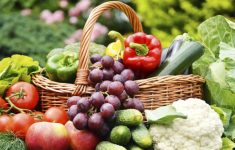 Jangan Salah Pilih! Ini Jenis Makanan yang Tahan 12 Jam Menurut Ahli