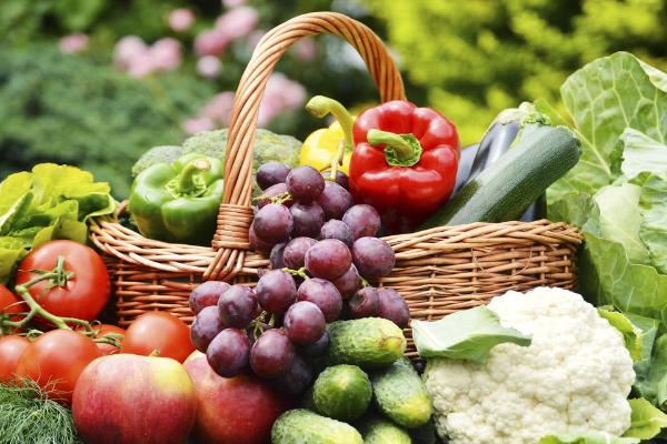 Jangan Salah Pilih! Ini Jenis Makanan yang Tahan 12 Jam Menurut Ahli