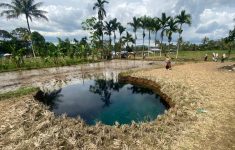 Sinkhole di Tengah Sawah Sumatera Barat Jadi Wisata Pengobatan, Begini Resiko Menurut Para Ahli!