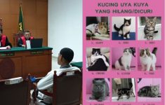 Sosok Pencuri Kucing Uya Kuya Ditahan Polisi, Hakim Vonis 6 Bulan Penjara