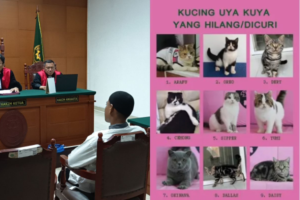 Sosok Pencuri Kucing Uya Kuya Ditahan Polisi, Hakim Vonis 6 Bulan Penjara